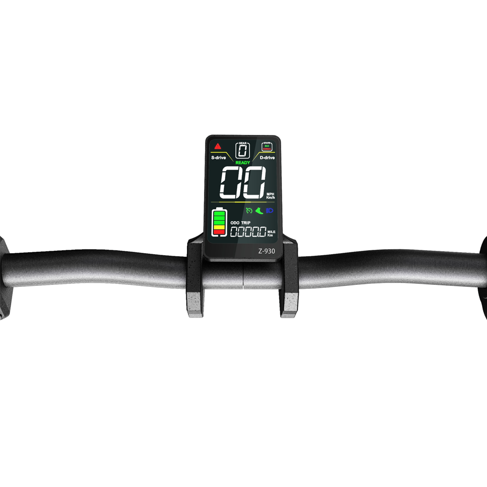 V1 ZP Display for S5/S8-S/S10-S